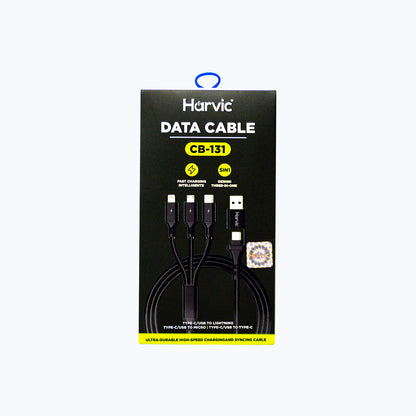 Cable Harvic CB-131 5 en 1