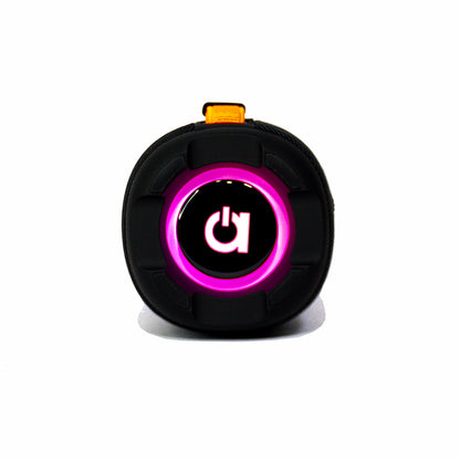 Parlante Harvic PR-815